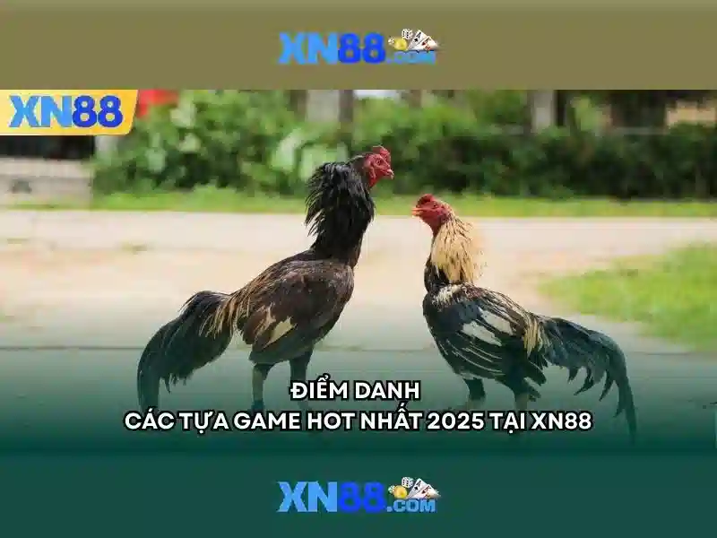 Giới Thiệu Về XN88