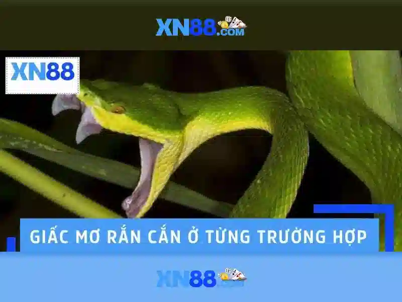 Tải App XN88