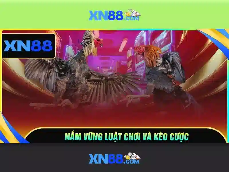 XN88 – Trải Nghiệm Casino Slot Đa Dạng, Trải Nghiệm Đỉnh Cao 2026