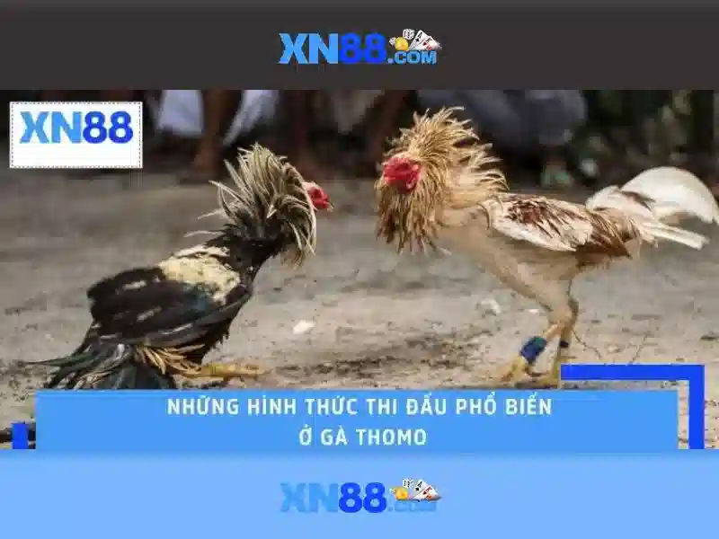 Các trò chơi Slot đa dạng tại XN88 Gaming