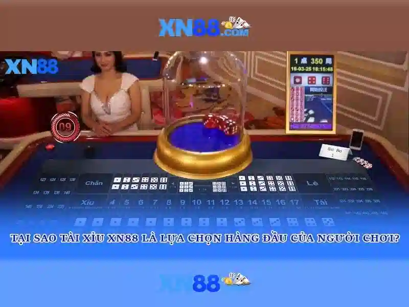 Phương Pháp Soi Cầu XN88