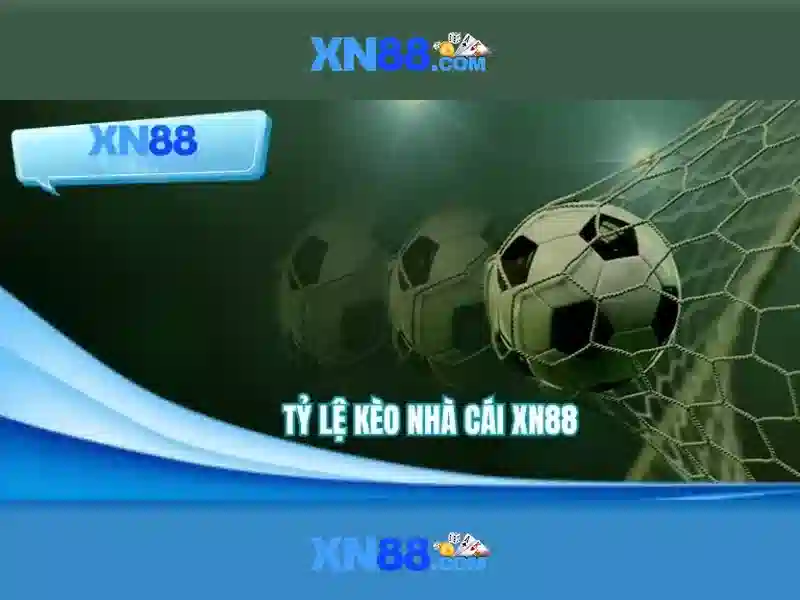 Hỗ trợ 24/7