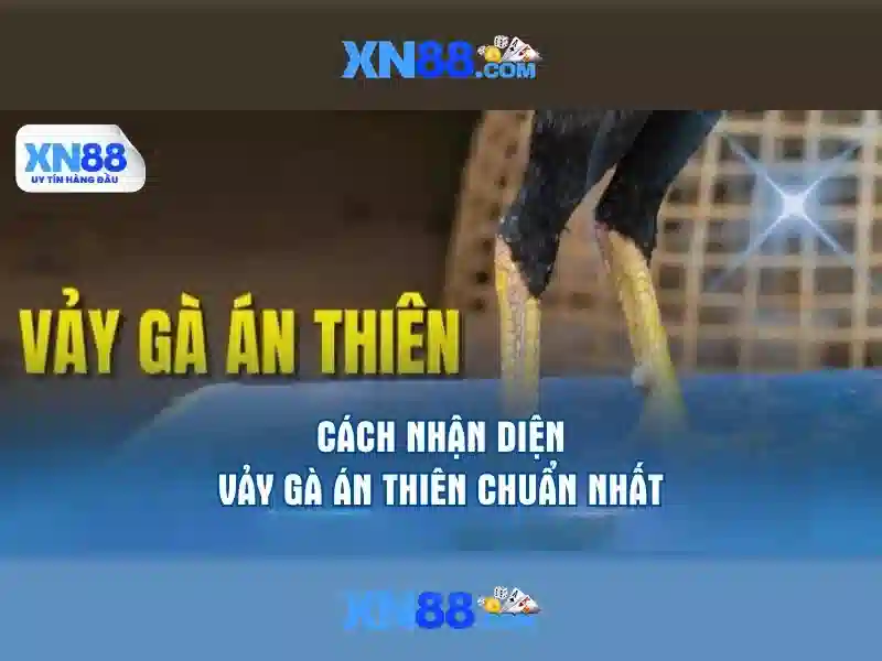 Tại Sao Nên Chọn XN88 Slot