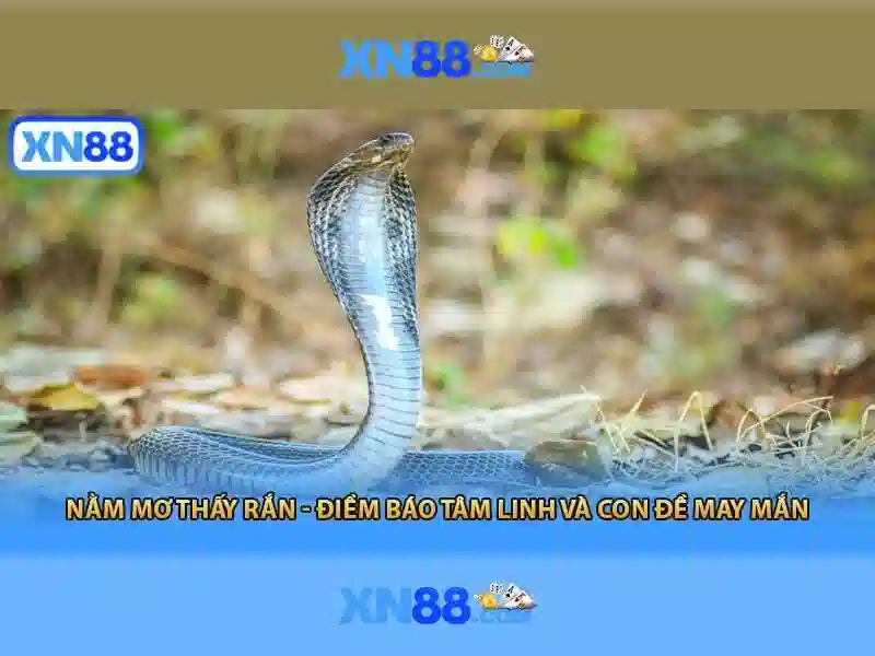 Ưu Đãi Đặc Biệt Cho Thành Viên XN88