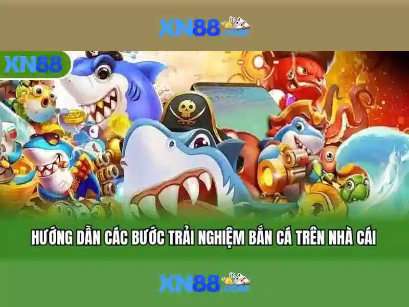 Giới Thiệu Về XN88