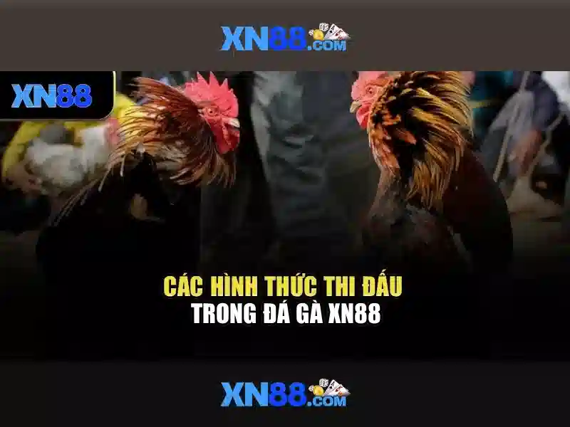 Slot XN88