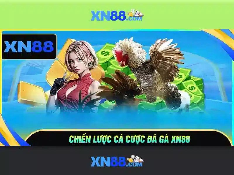 Hướng dẫn đăng nhập XN88