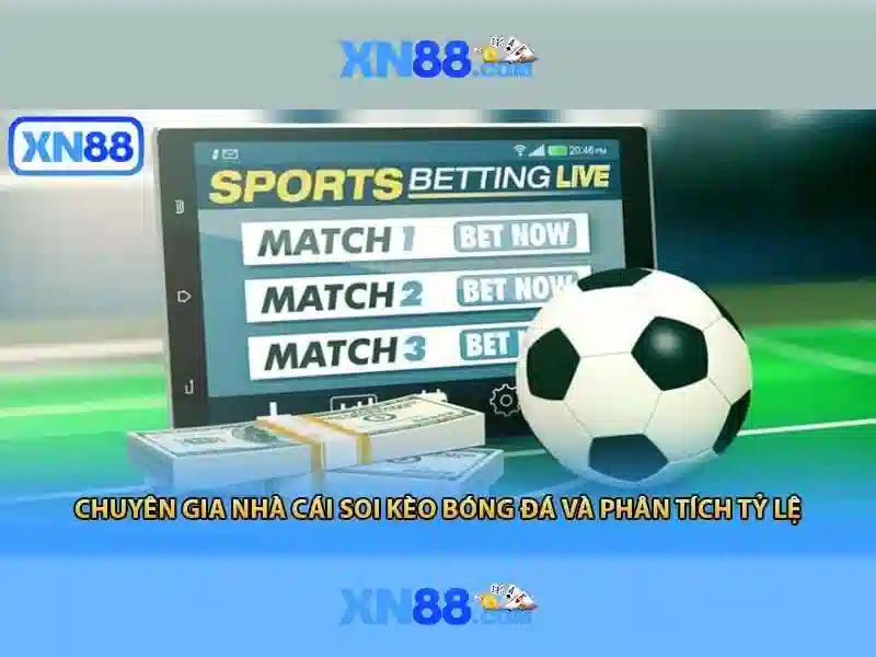 Casino XN88