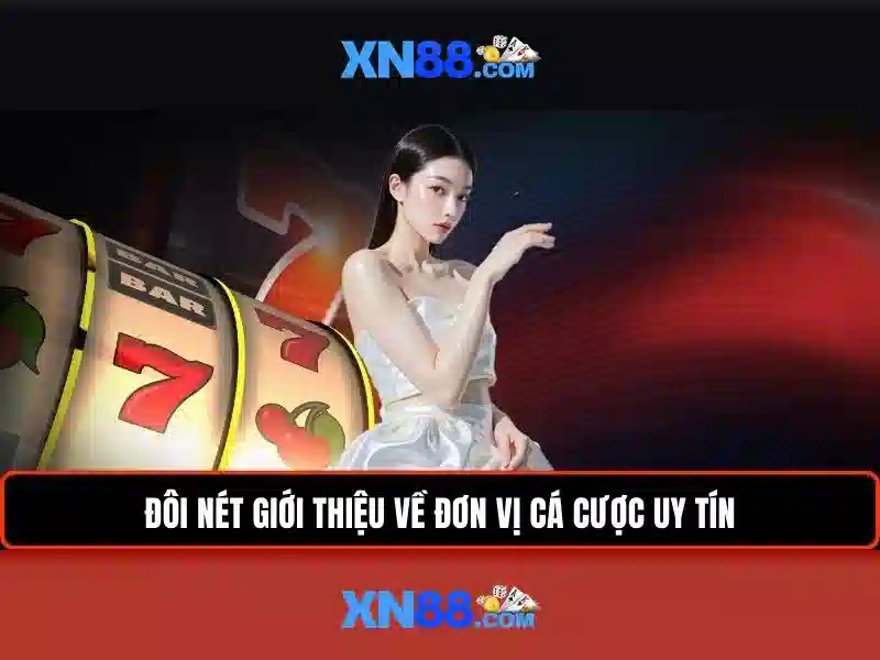 Quyền Lợi Người Chơi