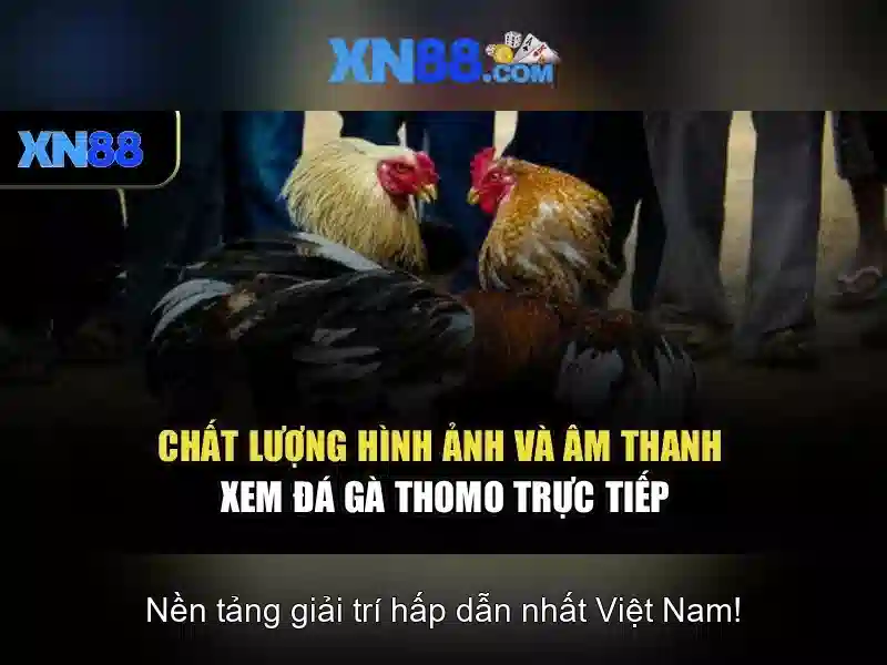 Trúng thưởng Slot
