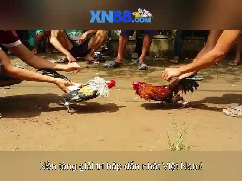 săn thưởng Bắn Cá