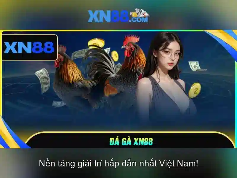 Khám phá XN88
