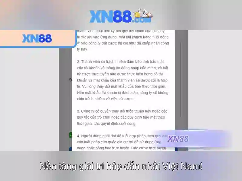 XN88 Link