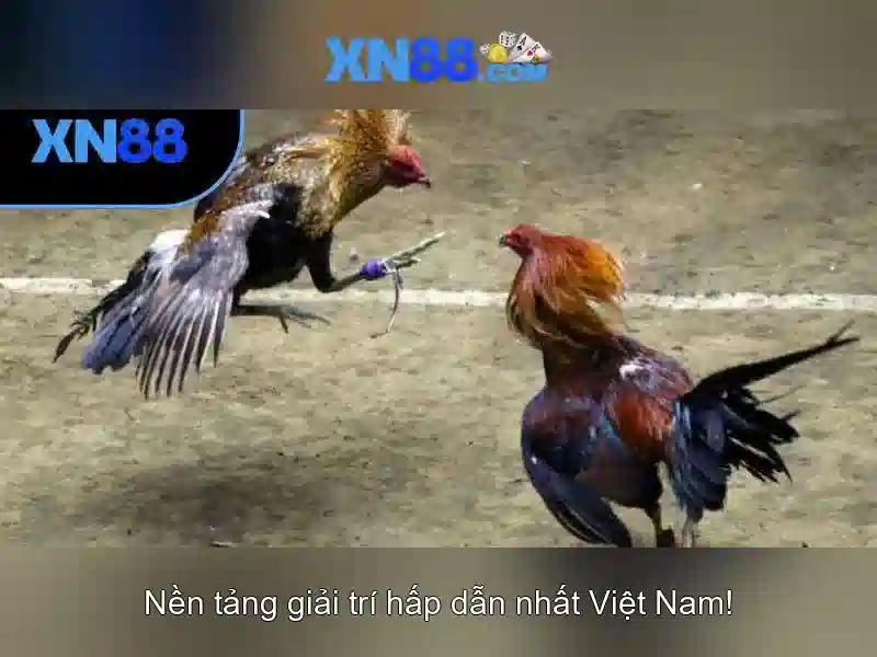 Trải nghiệm Slot đỉnh cao tại XN88 Gaming