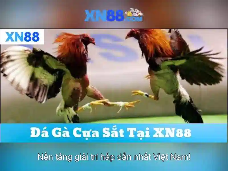 Trải nghiệm game slot tại XN88