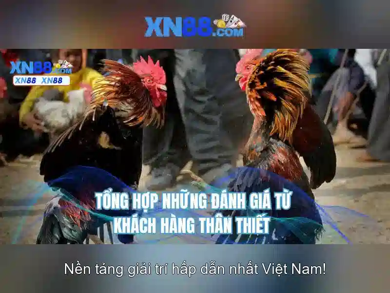 Cổng Game Slot Đa Dạng