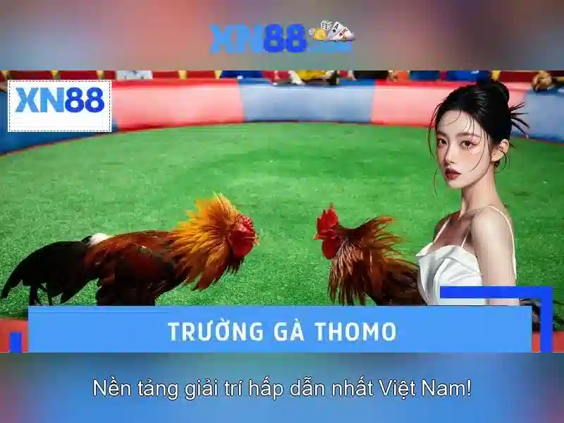 Ưu Điểm XN88 Link
