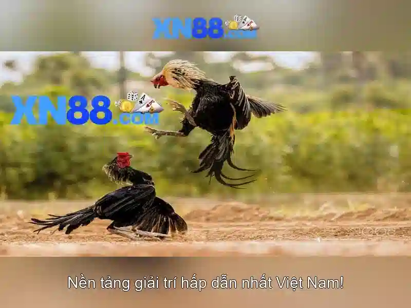 Trải Nghiệm Slot Đỉnh Cao Tại XN88