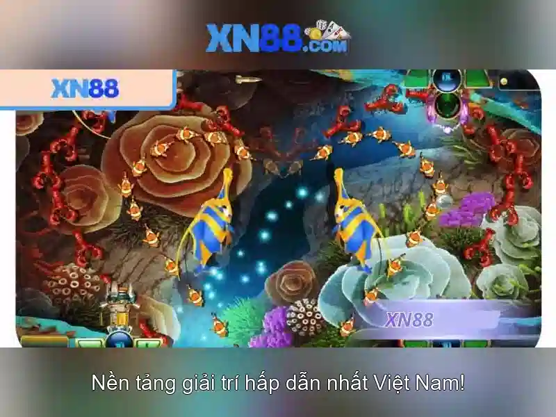 Hỗ trợ chuyên nghiệp