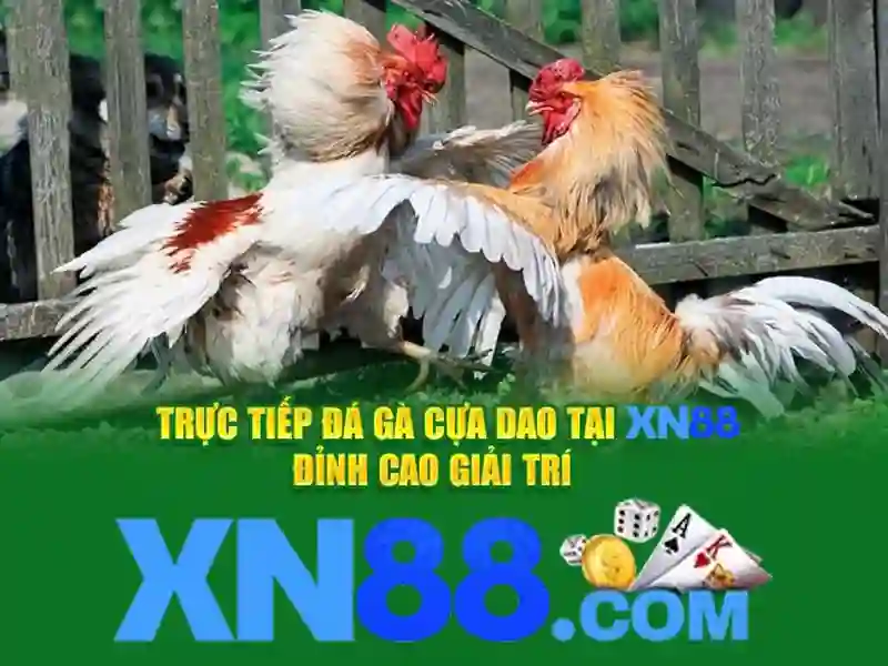 Tải XN88 App